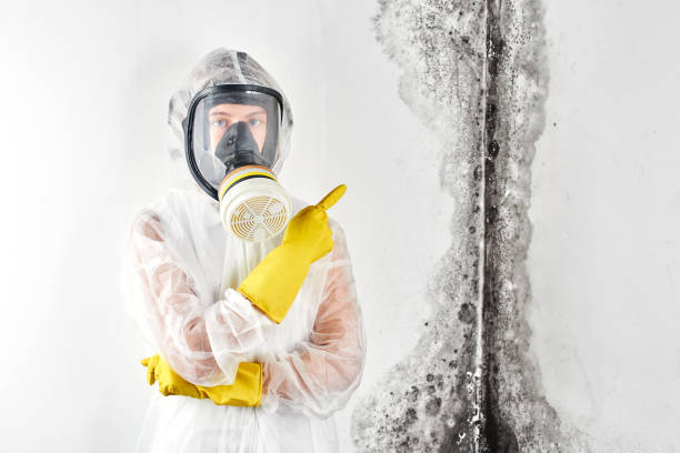 Mold Remediation for Vacation Homes in Tomball, TX